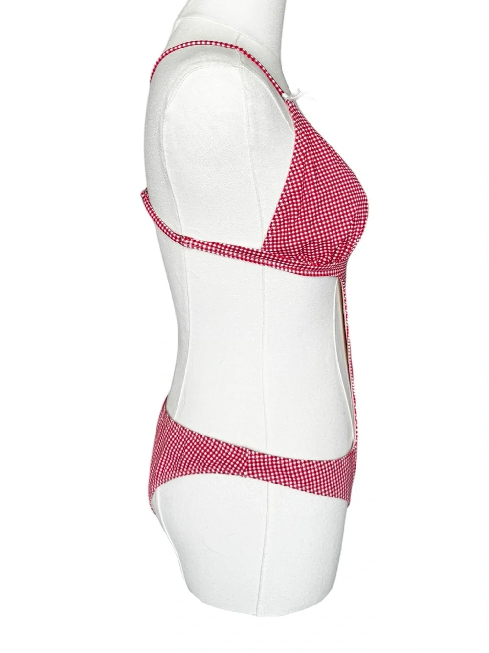 NWT Frankies Bikini Cruise Monokini One Piece Swimsuit in Ladybug Gingham XL